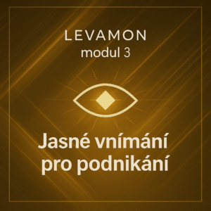 Levamon modul 3 Jasné vnímání pro podnikání -Clear Perception for Business