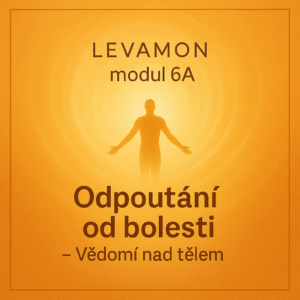 Levamon modul 6A Odpoutání od bolesti-Detachment from Pain